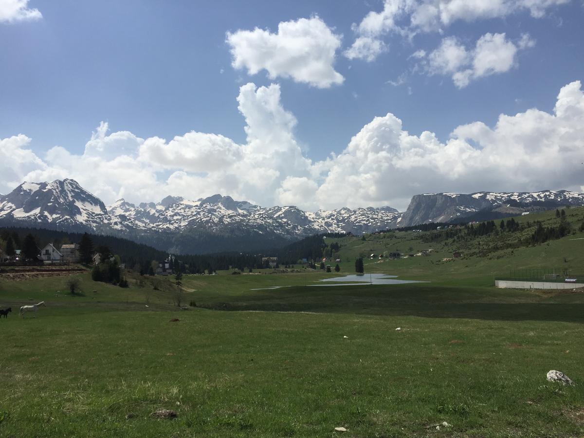 Villa Moutain View Žabljak Eksteriør billede