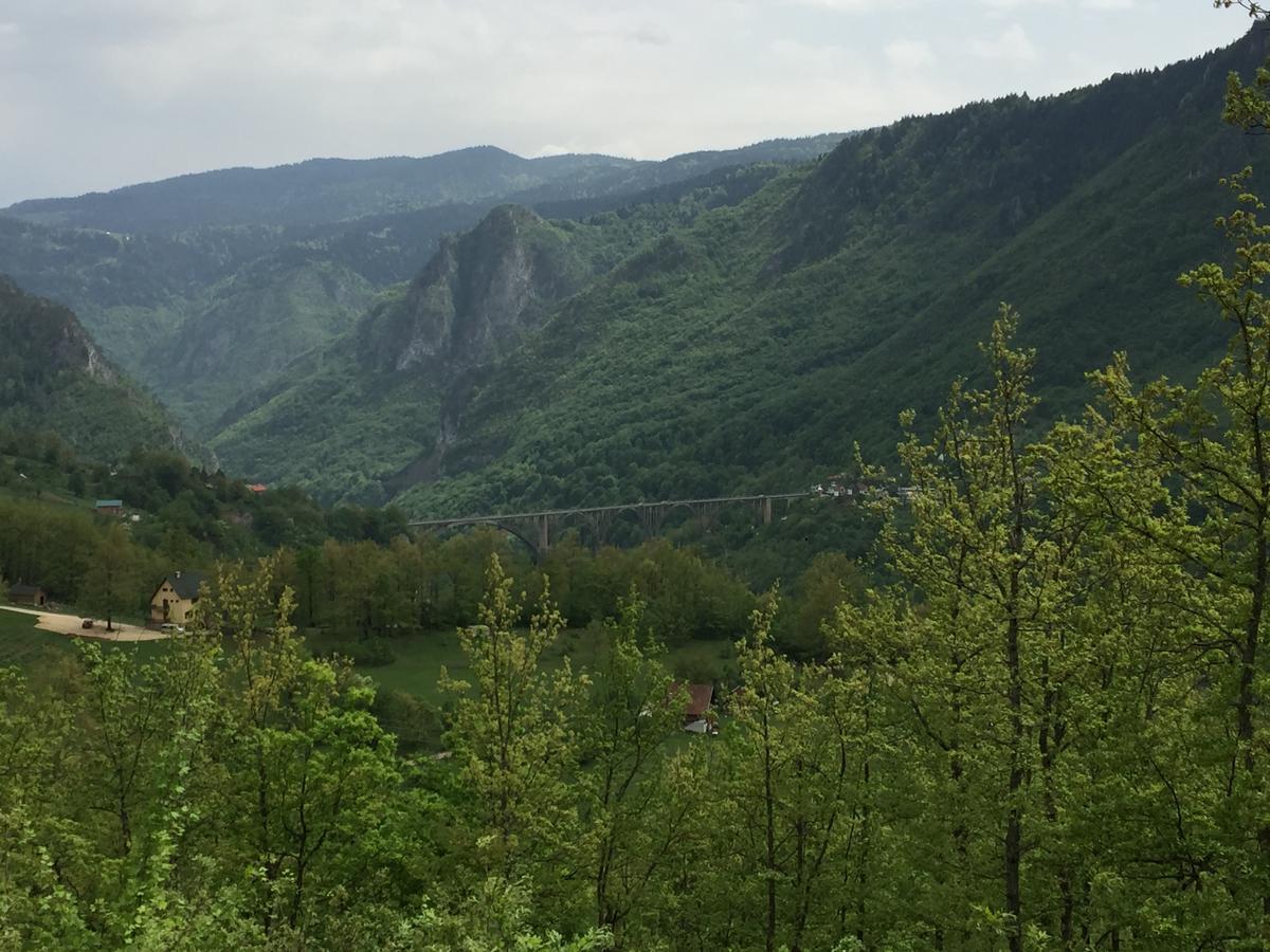Villa Moutain View Žabljak Eksteriør billede